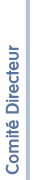 Comité directeur